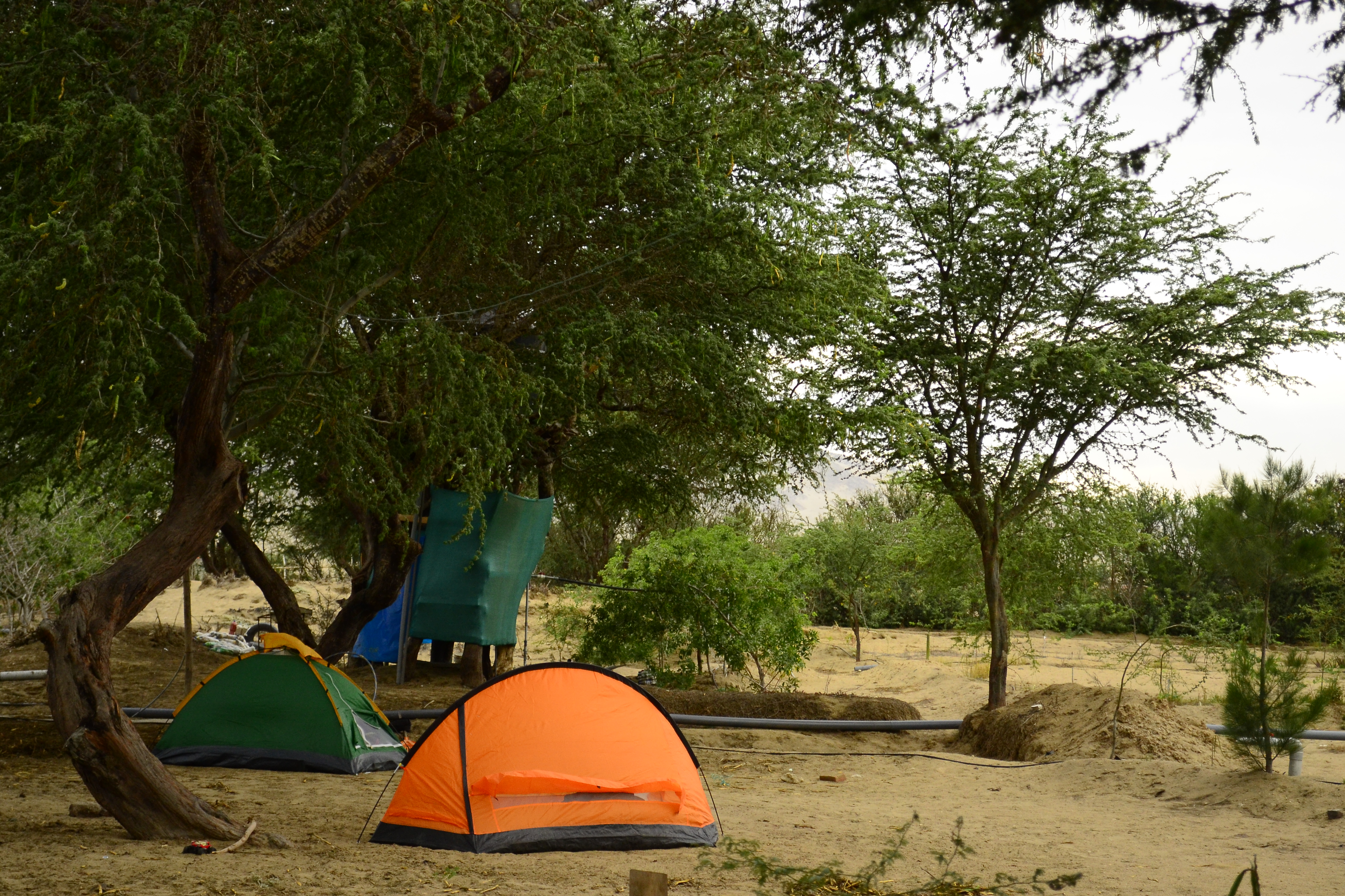 Acampando dentro de una finca - dormir gratis